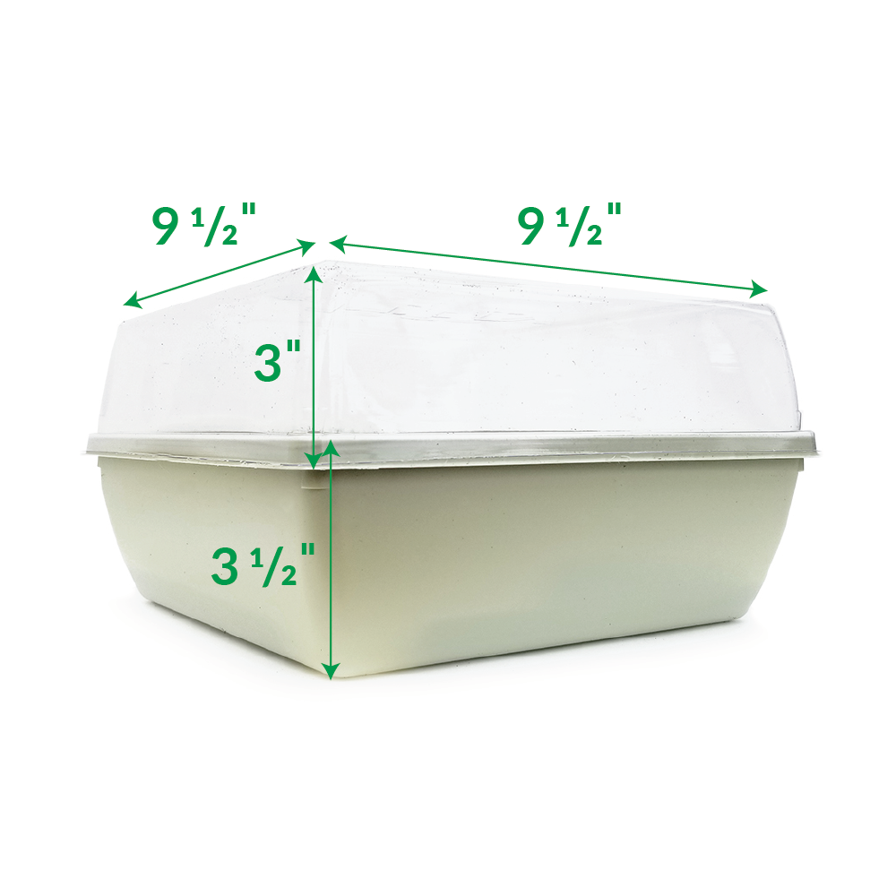 A Jiffy self-watering greenhouse kit packaging with 34 peat pellets in a 3D rendering. The packaging includes a reservoir and wicking mat described for seed starting.